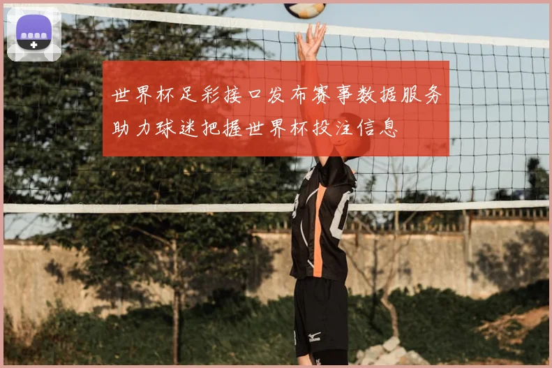 世界杯足彩接口发布赛事数据服务助力球迷把握世界杯投注信息