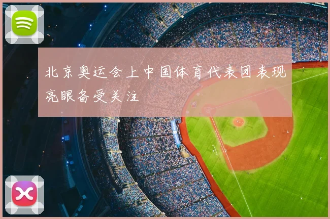 北京奥运会上中国体育代表团表现亮眼备受关注