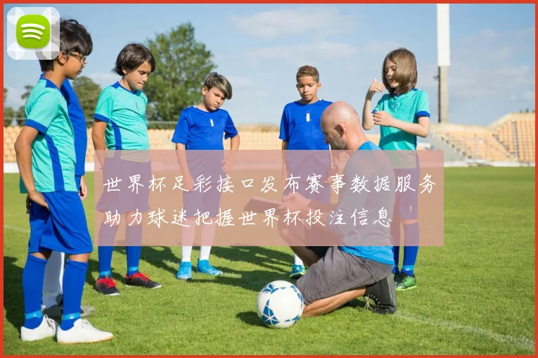 世界杯足彩接口发布赛事数据服务助力球迷把握世界杯投注信息